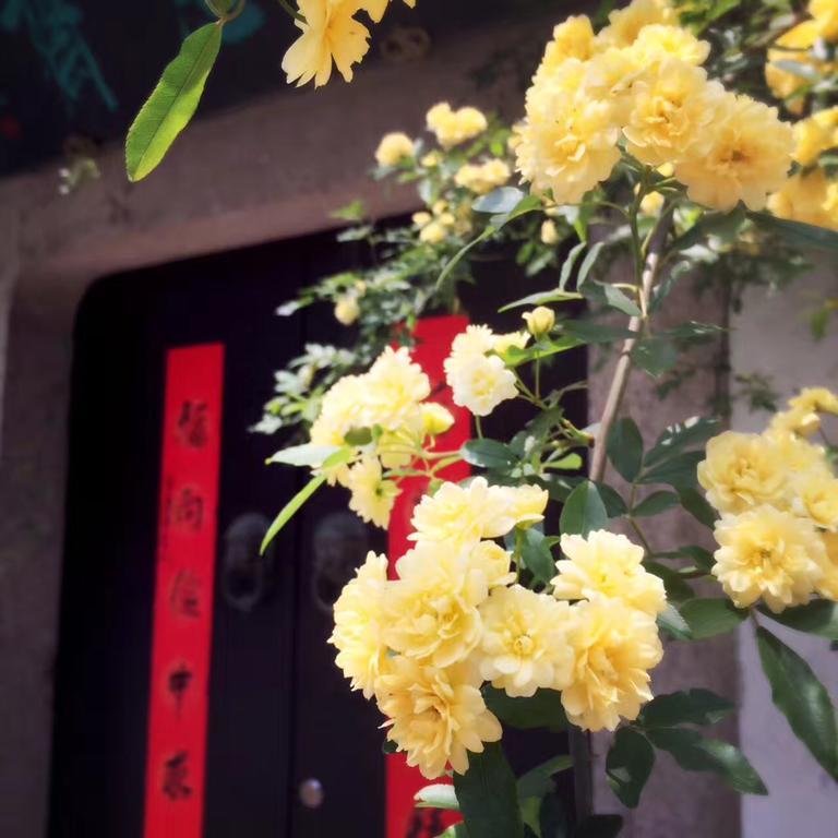 Zuo Wang Zhai Guesthouse Suzhou  Bagian luar foto