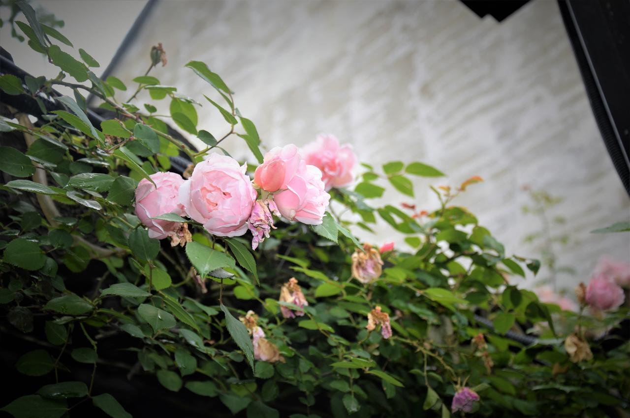 Zuo Wang Zhai Guesthouse Suzhou  Bagian luar foto